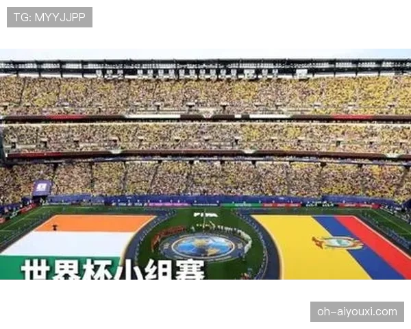 科特迪瓦1-0厄瓜多尔回顾：E组首轮关键胜利